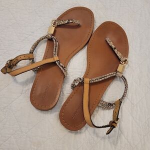 Coach "Charleen" goldtone and snakeskin thin-sole thong sandals size 8.5 B